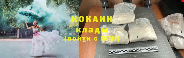 тгк Абаза