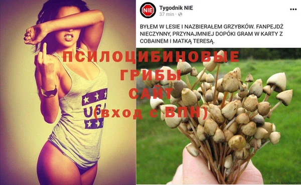 мяу мяу мука Алексин