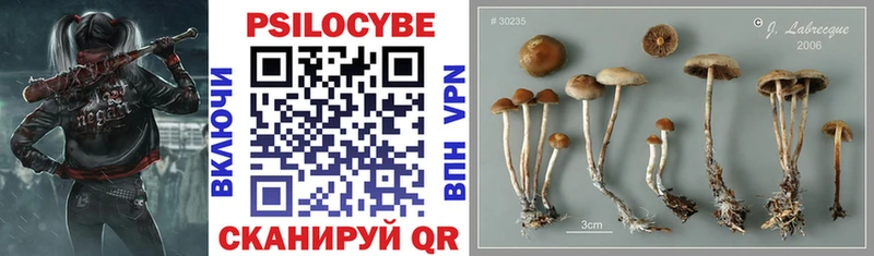 Галлюциногенные грибы ЛСД  Сусуман 